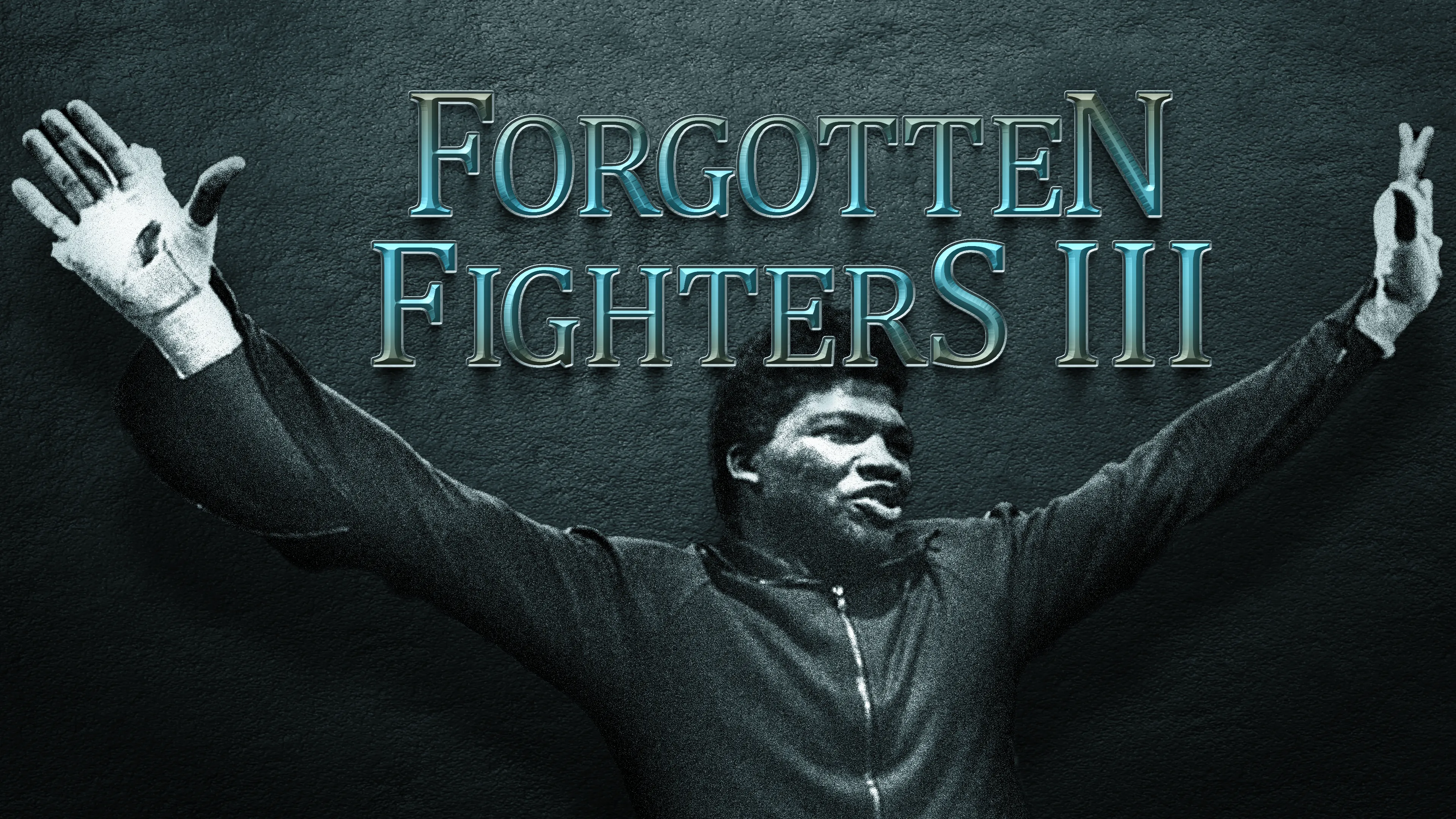 Forgotten Fighters III poster